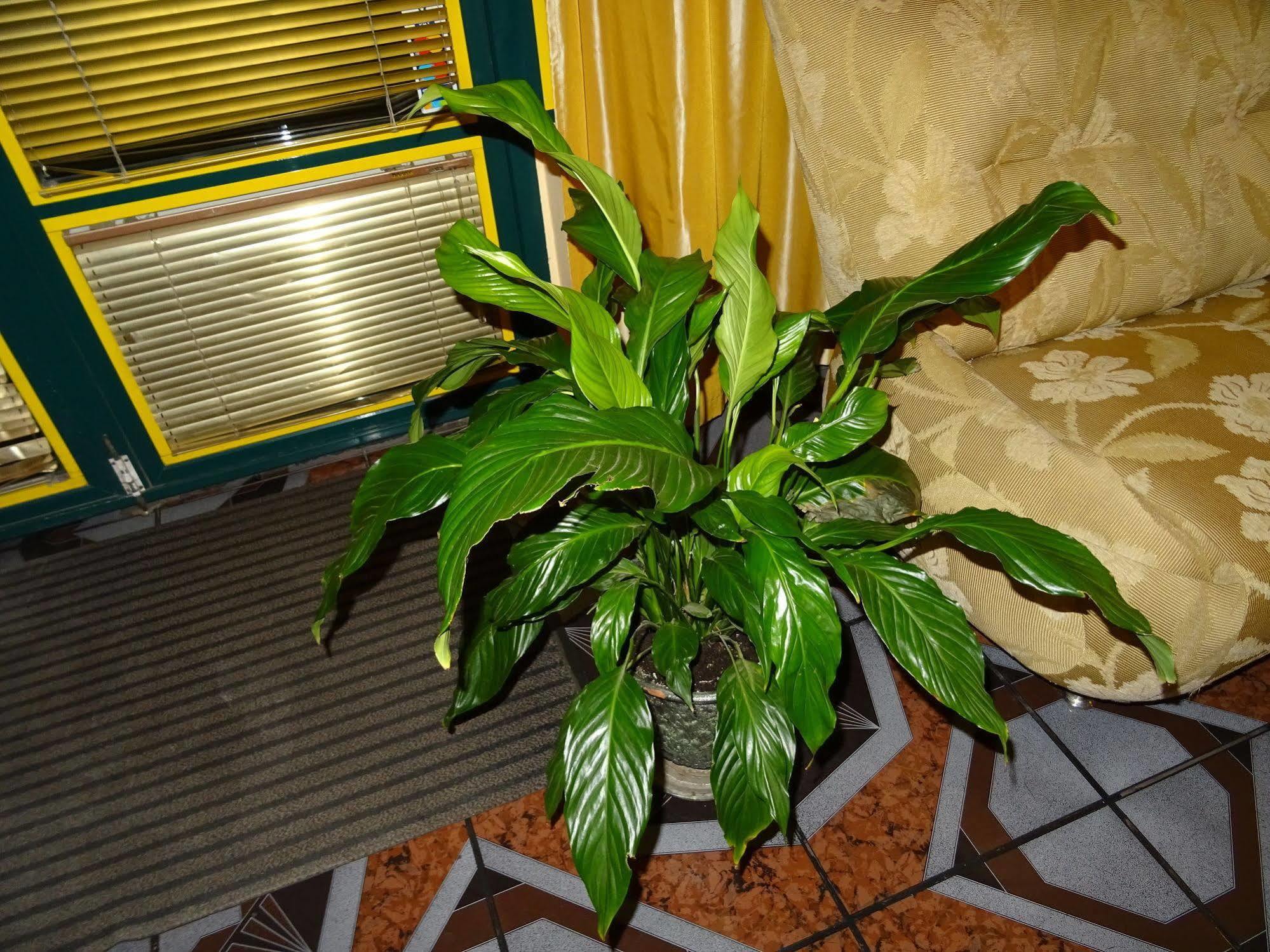 Hotel Color